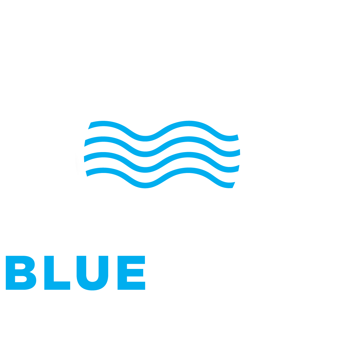 Blue Break White
